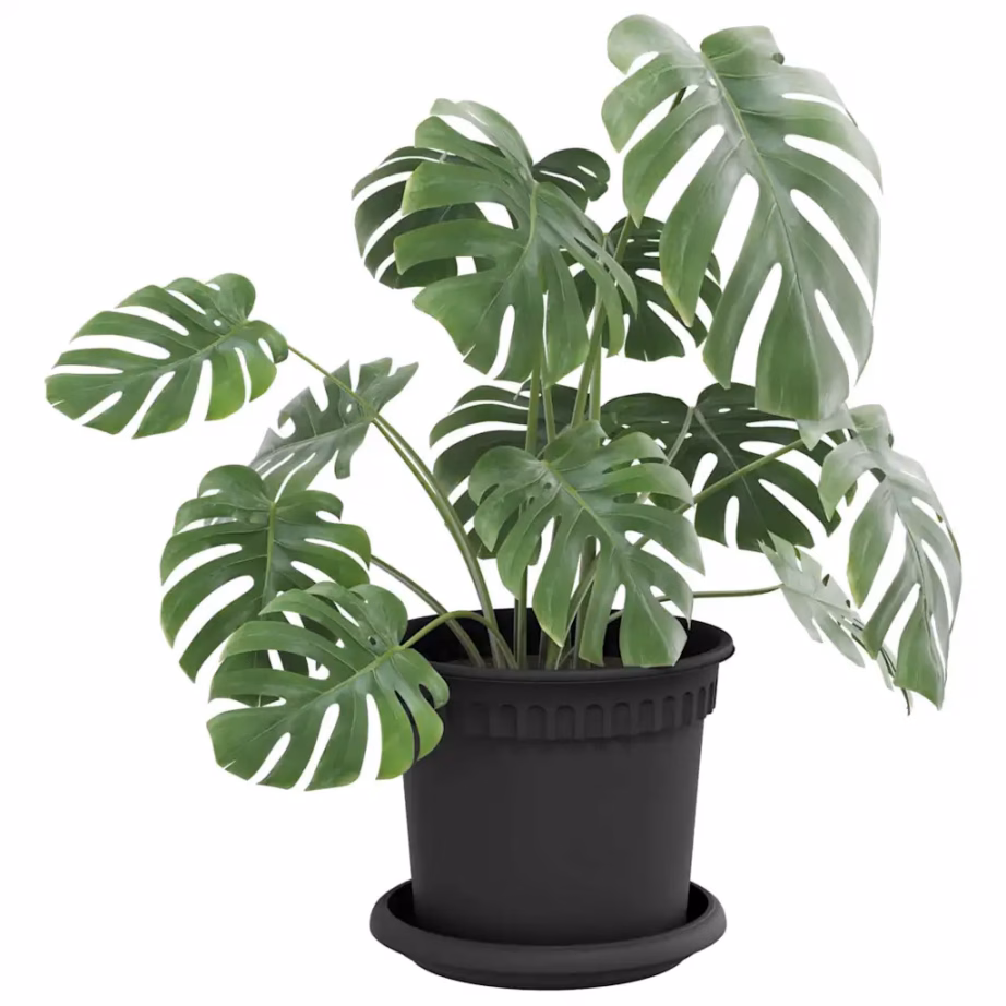 Ümmargused lillealused, 6 tk, must plastik, Ø 15,5 x 2 cm – 3