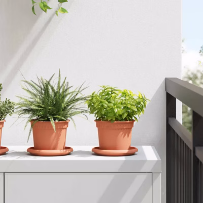 Ümmargused plastist lillepotid drenaažiavadega, kohviroosa, Ø 12,5 x 10 cm, 24 tk