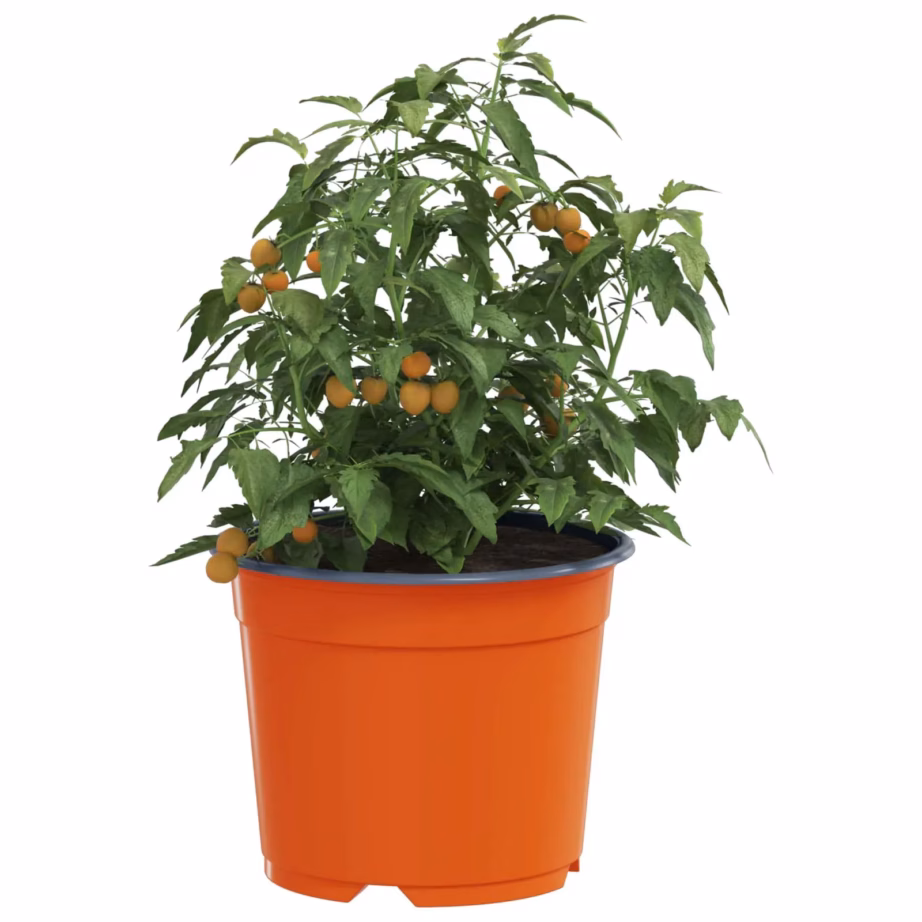 Ümmargused lillepotid äravooluavadega, terrakota plastmass, Ø 15 x 12,5 cm, 50 tk – 3