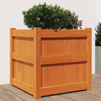 Aia taimekast vahapruunist männipuidust, 50 x 50 x 50 cm