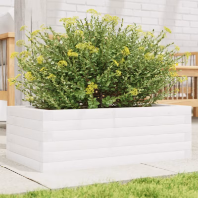 Valge männipuidust aia taimekast, 70 x 40 x 23 cm