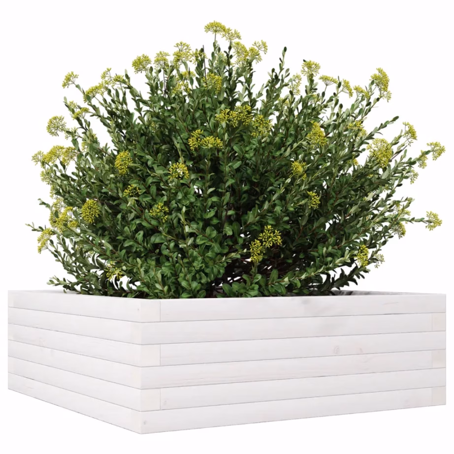 Aia taimekast männipuidust, valge, 70 x 70 x 23 cm – 4