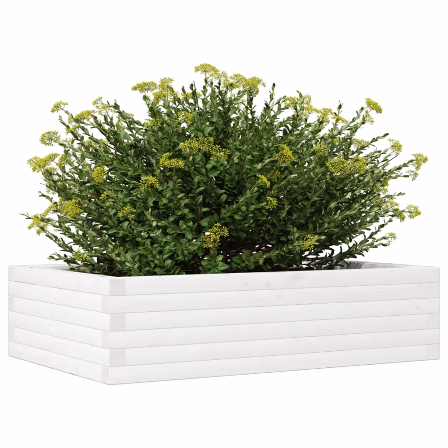 Männipuidust aia taimekast, valge, 90 x 60 x 23 cm – 4