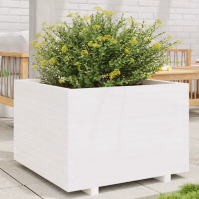 Valge täismännipuidust aiataimekast, 70 x 70 x 49,5 cm