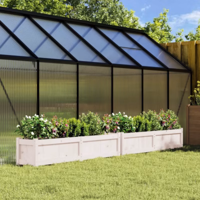 Valged täismännipuidust aia taimekastid, 2 tk, 150 x 31 x 31 cm