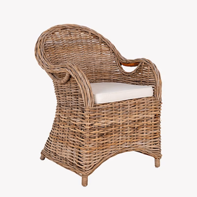 Hallist rotangist aiatool istmepadjaga Larisa