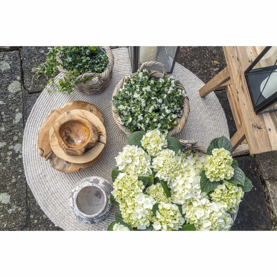 Ümmargused rotangist hoiukorvid Kuta, looduslik toon, 3-osaline komplekt – 4