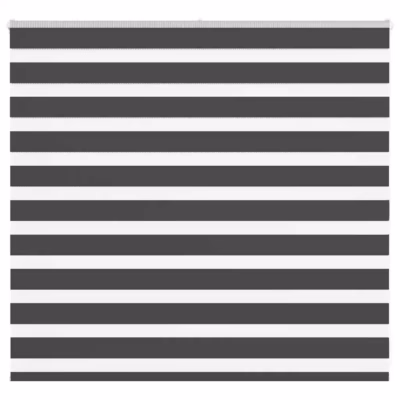 Zebra ruloo läbipaistvate ja läbipaistmatute ribadega, must, 160 x 100 cm, polüester