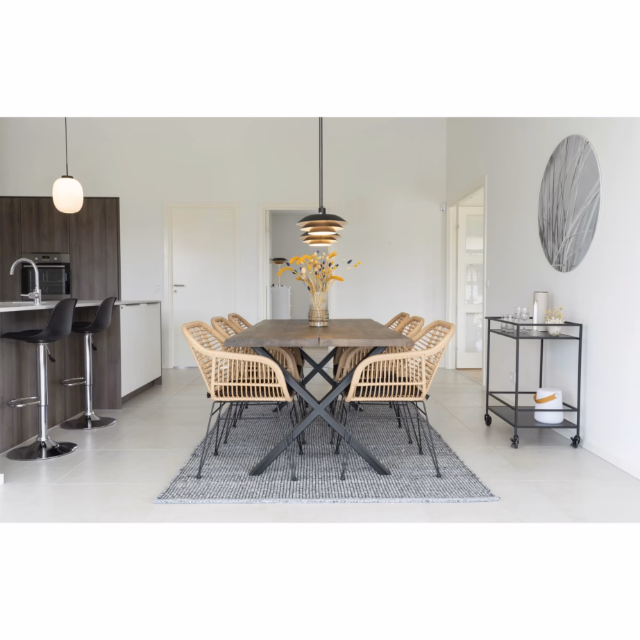 PE-rotangist aiatugitool istmepadjaga, naturaalne mustade metalljalgadega Trieste – 9