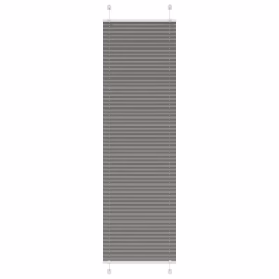 Plisseeritud ruloo privaatsuse ja päikesekaitsega, antratsiithall, 60 x 200 cm