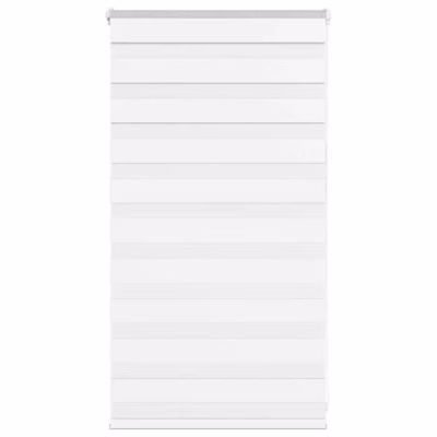 Valge sebra ruloo kettmehhanismiga, 70 x 100 cm, polüester