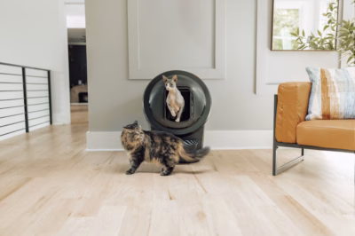 Liivakasti kaitsekaas privaatsuskardinaga Litter-Robot 4-le Litter-Robot by Whisker LR4-9147, valge