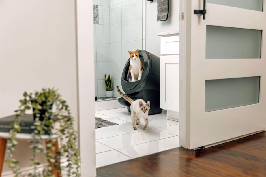 Automaatne isepuhastuv kassiliivakast Wi‑Fi-ga Whisker Litter-Robot 4, must – 5