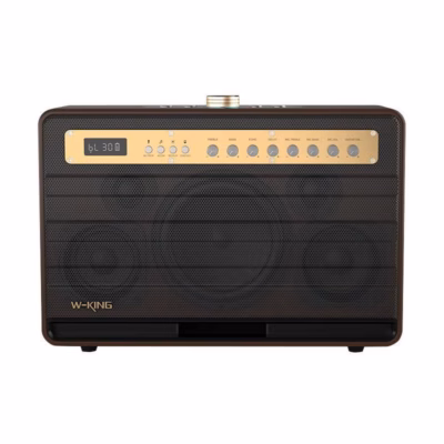 Kaasaskantav Bluetooth-kõlar W-King K6L, 120 W, IPX6, pronks