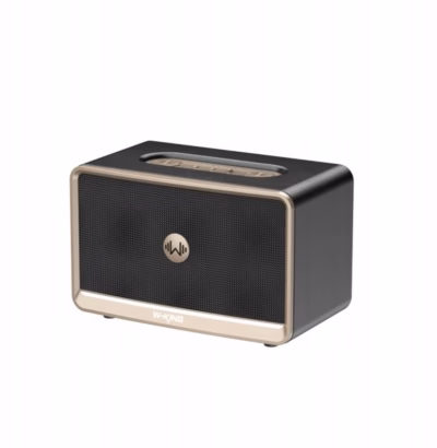 Kaasaskantav Bluetooth-kõlar W-KING H330, 120 W RMS, Bluetooth 5.4, aku kuni 24 h