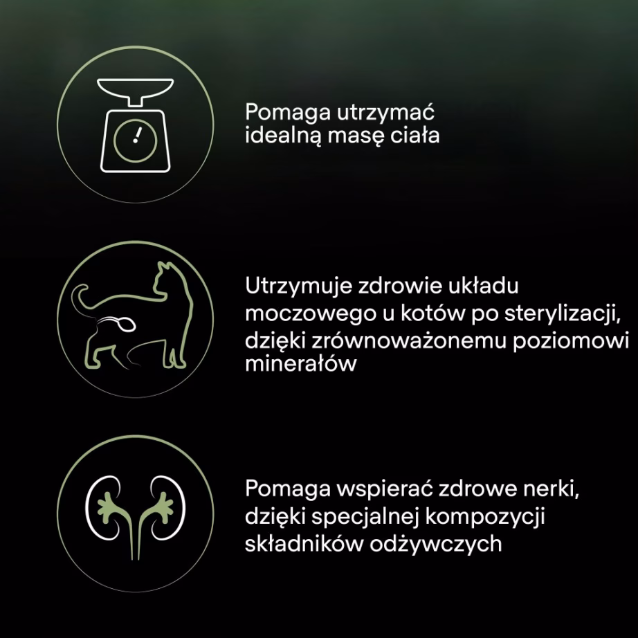 Kasside kuivtoit PURINA Pro Plan LiveClear Sterilised, kalkuniga, 1,4 kg - 4