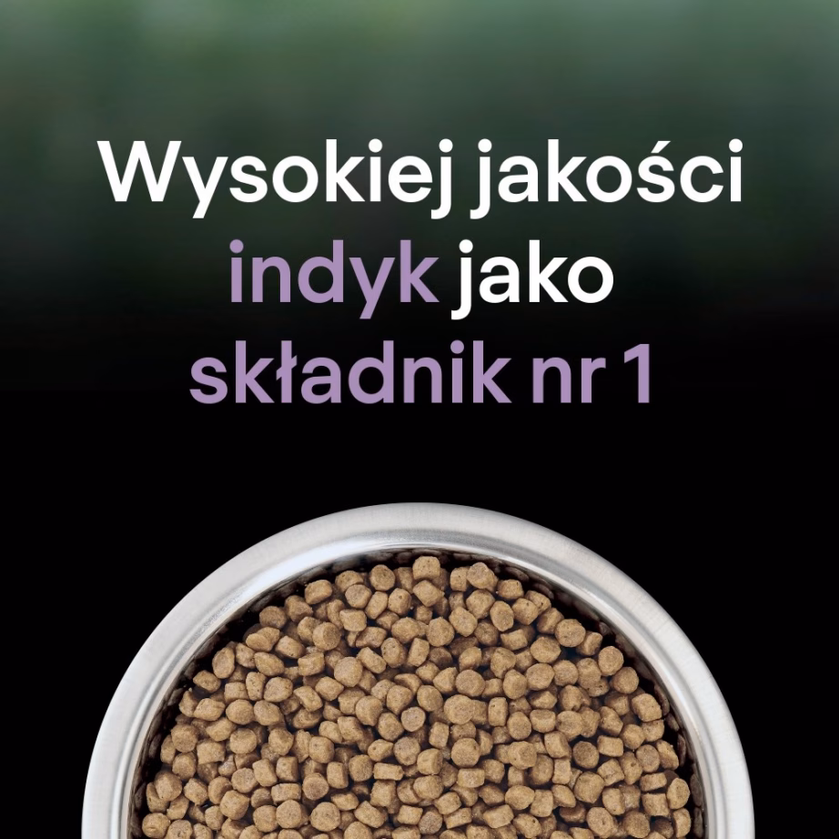 Kassi kuivtoit PURINA Pro Plan LiveClear Sterilised, kalkuniga, 2,8 kg - 3
