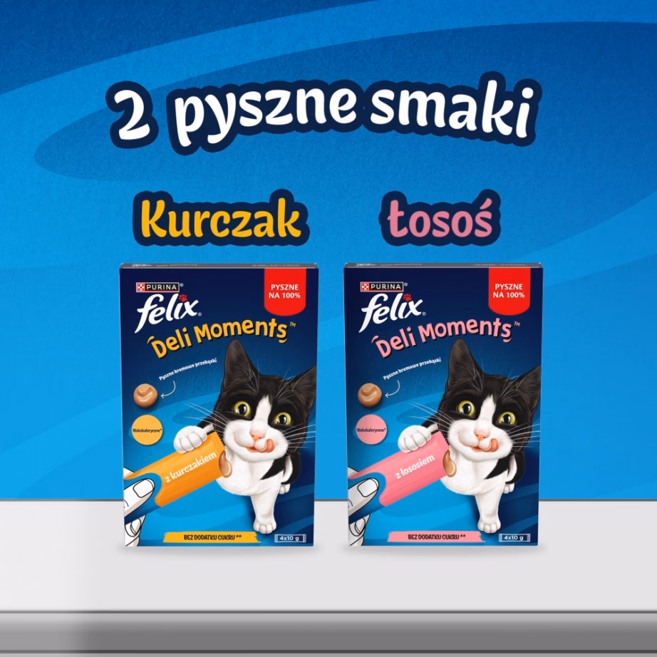 Kassimaiusepasta PURINA Felix Deli Moments lõhega, 4 × 10 g - 6