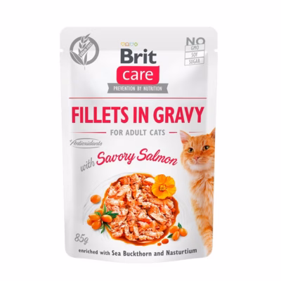 Teraviljavaba märgtoit täiskasvanud kassidele Brit BRIT Care Fillets in Gravy Savory Salmon, 85 g