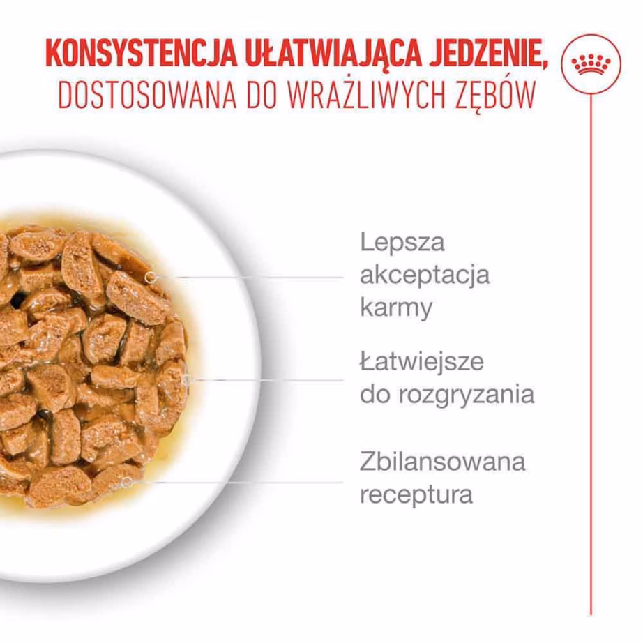 Kasside märgtoit Royal Canin Ageing 11+ kastmes, 12 × 85 g (Feline Health Nutrition) - 4