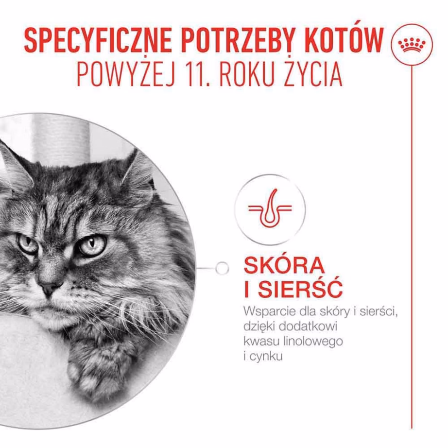 Kasside märgtoit Royal Canin Ageing 11+ kastmes, 12 × 85 g (Feline Health Nutrition) - 11
