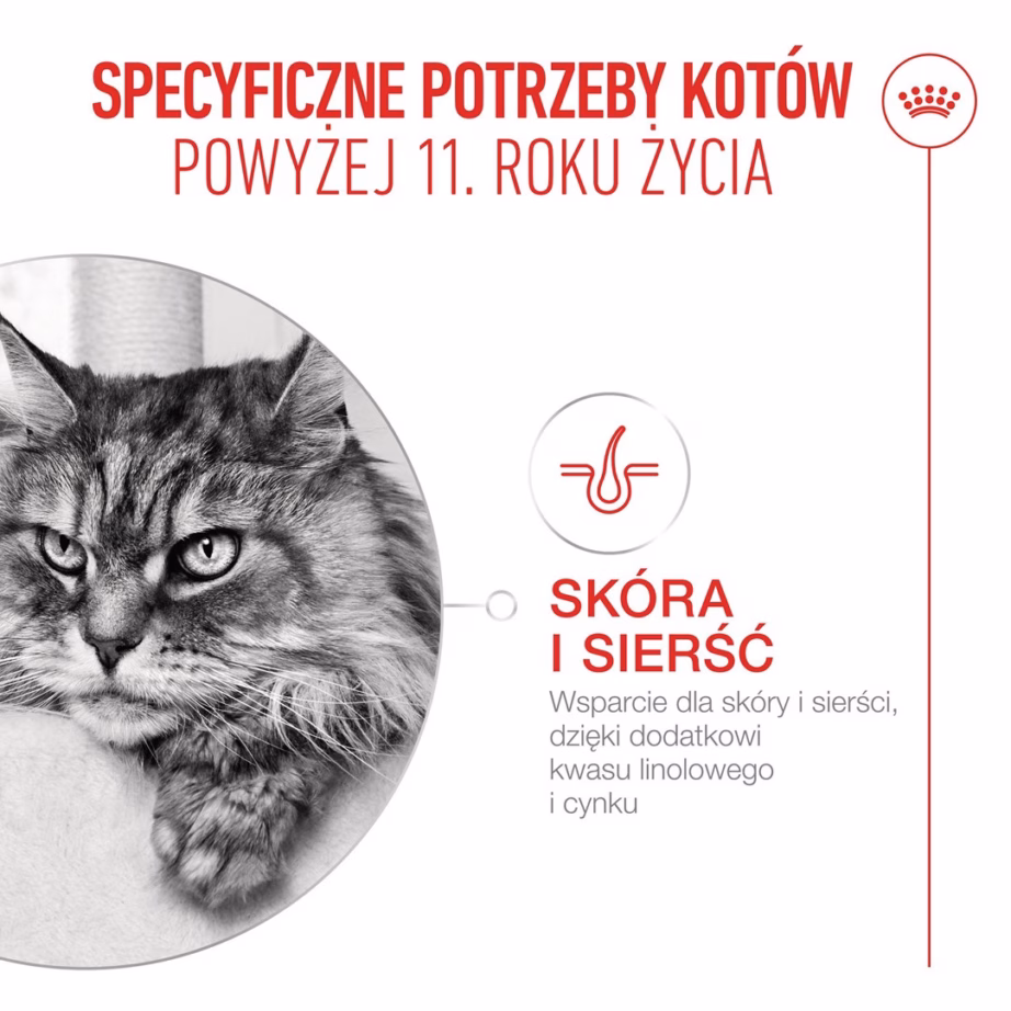 Kasside kuivtoit Royal Canin Ageing 11+, 4 kg (ROYAL CANIN Feline Health Nutrition) - 9