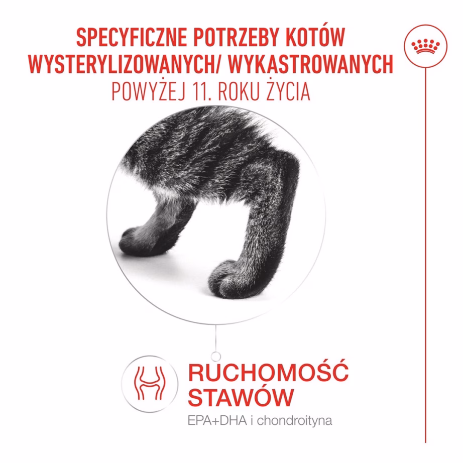 Kuiv kassitoit Royal Canin Ageing 11+ Sterilised, 4 kg - 3