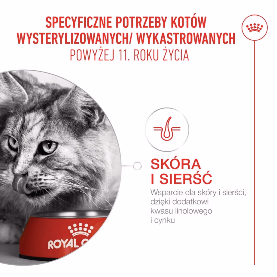 Kuiv kassitoit Royal Canin Ageing 11+ Sterilised, 4 kg - 9