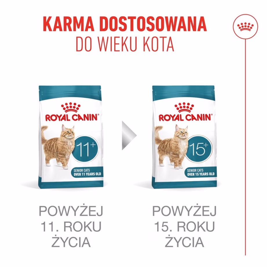 Kuiv kassitoit Royal Canin Ageing 11+ Sterilised, 4 kg - 11