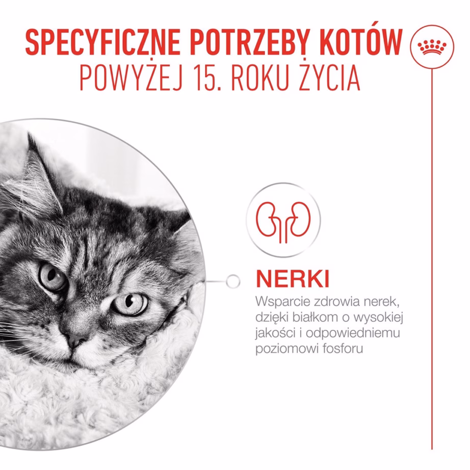 Kuiv kassitoit Royal Canin Ageing 15+, 2 kg (ROYAL CANIN Feline Health Nutrition) - 4