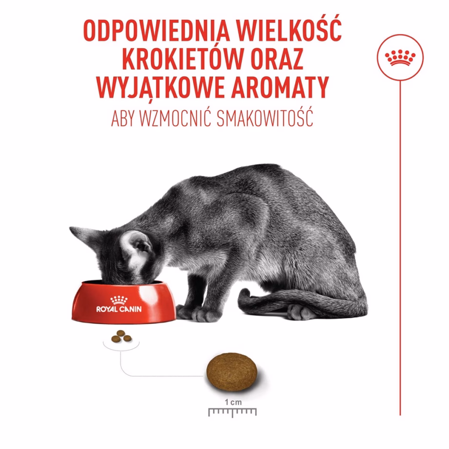 Kuiv kassitoit Royal Canin Exigent Fussy, täissööt täiskasvanud kassidele, 400 g - 8
