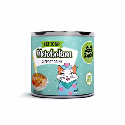 Funktsionaalne joogisööt kassile VetExpert Mr. Bandit Salmon Metabolism Support, 95 ml