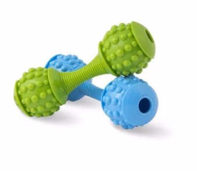 Kummist hambahooldusmänguasi koerale Hilton Dental Dumbbell, 15 cm