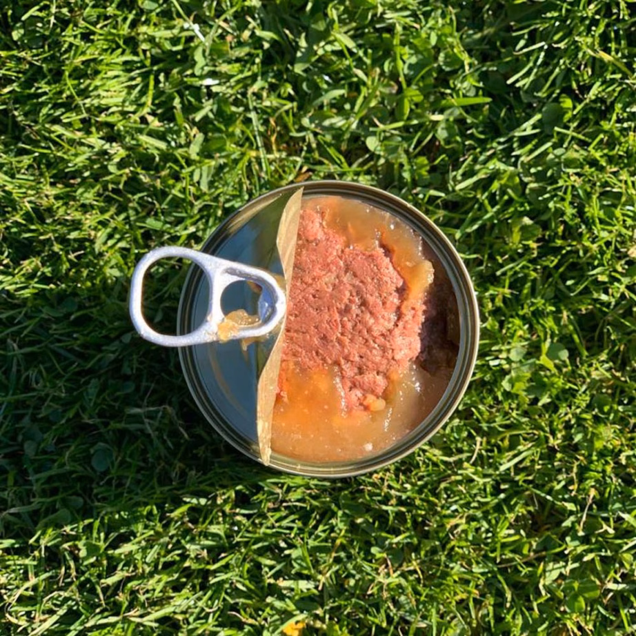 Märg koeratoit OLLO Pure Beef and Roheline Tripe, täiskasvanud koertele, 850 g - 3