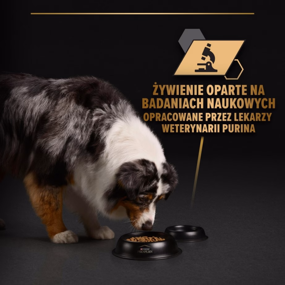 Märg koeratoit PURINA Pro Plan Adult Turkey in Jelly, täissööt täiskasvanud koertele, 400 g - 4