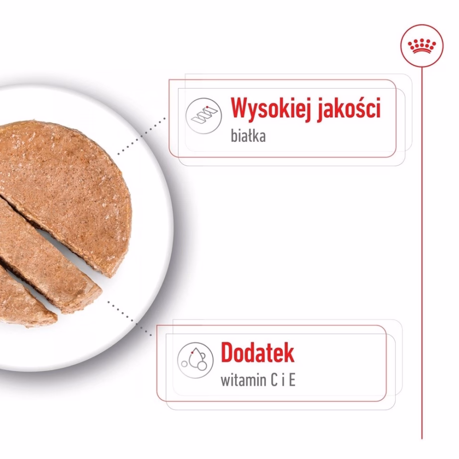 Märg koeratoit Royal Canin Medium Loaf, täissööt täiskasvanud keskmist tõugu koertele, 410 g - 2
