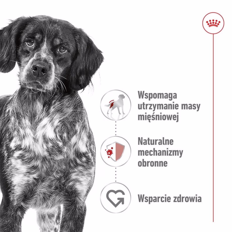 Märg koeratoit Royal Canin Medium Loaf, täissööt täiskasvanud keskmist tõugu koertele, 410 g - 5
