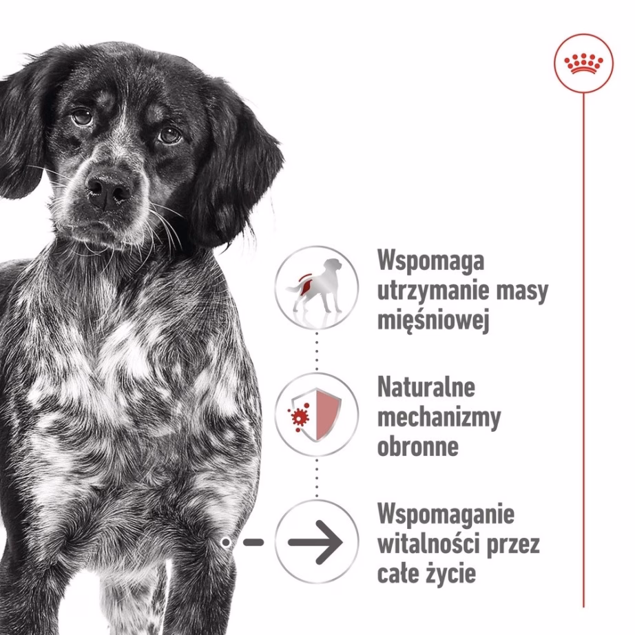 Märg koeratoit Royal Canin Medium Ageing Loaf, keskmisele tõule (10–25 kg), 410 g - 3