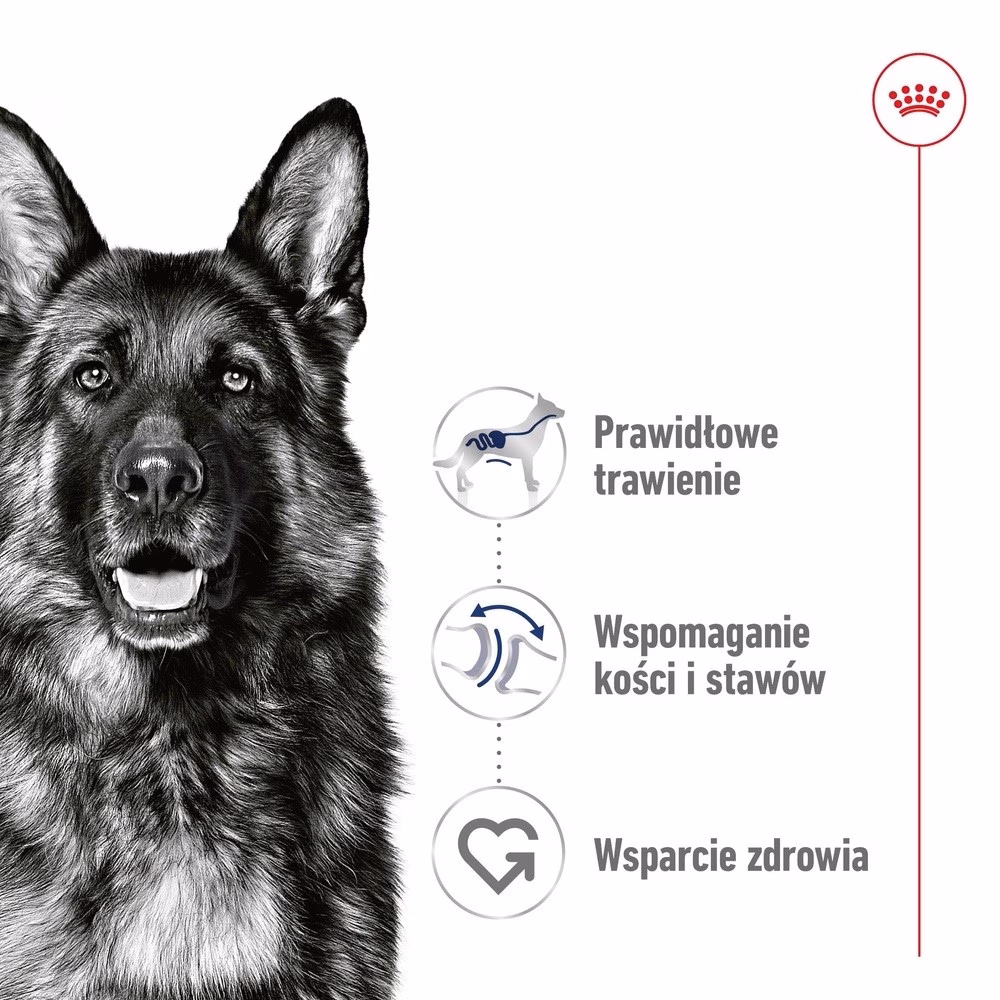 Täissööt täiskasvanud suurtele koertele Royal Canin Maxi Adult Loaf, 410 g (3)