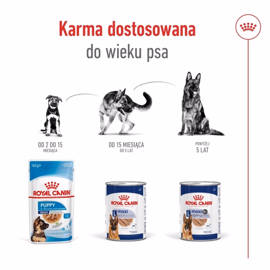 Märg koeratoit Royal Canin Maxi Ageing Loaf, suurtele eakatele koertele, 410 g - 4