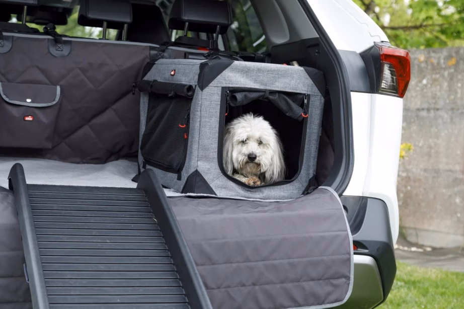 Koera auto peale käimise ramp ZOLUX Nomad, 151,5 × 40 × 16 cm, 90 kg - 4