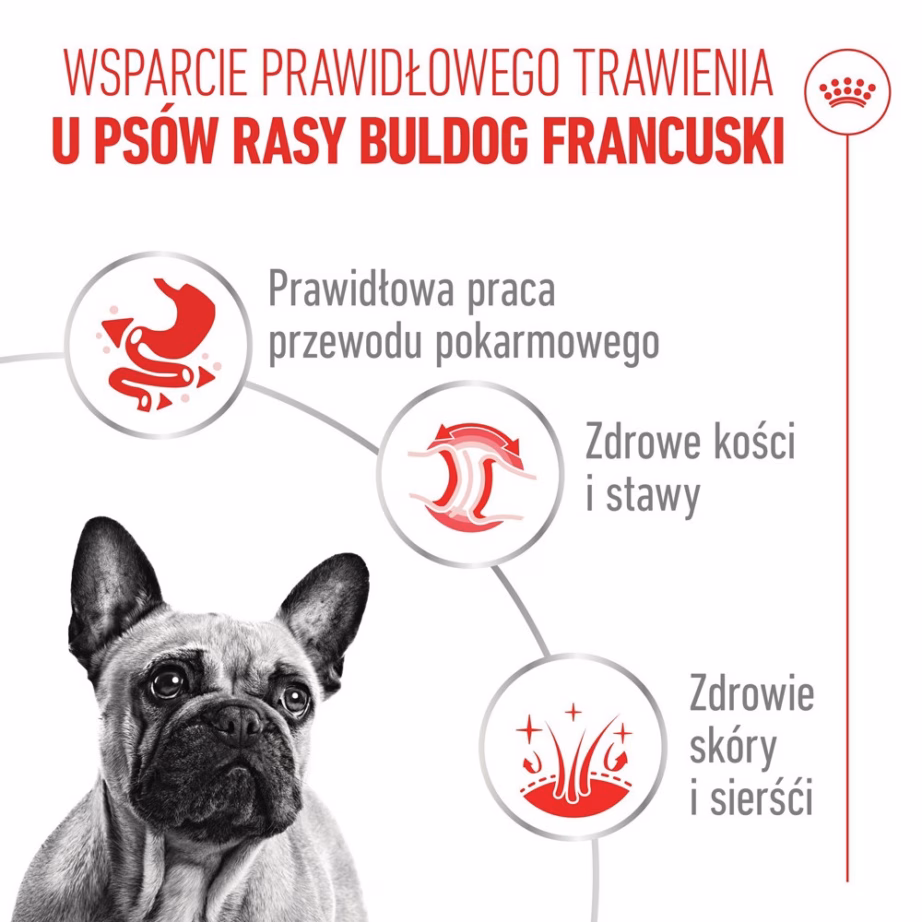 Koera märgtoit Royal Canin French Bulldog Adult Digestive Health Loaf, 1,1 kg - 7