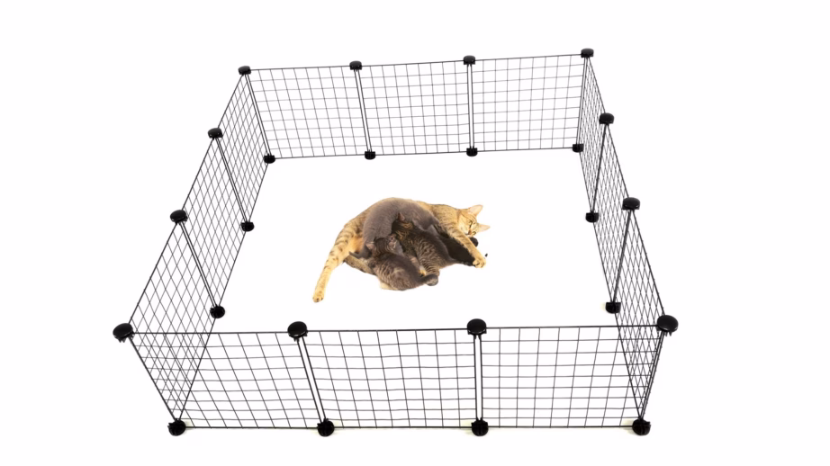 Koerapuur C&C Modular, 145 × 75 × 37 cm, must - 11
