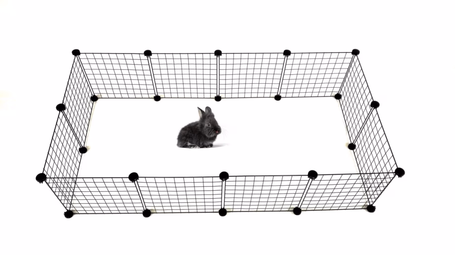 Koerapuur C&C Modular, 145 × 75 × 37 cm, must - 12