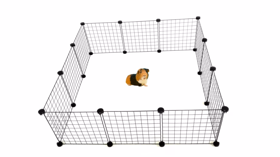 Koerapuur C&C Modular, 145 × 75 × 37 cm, must - 13