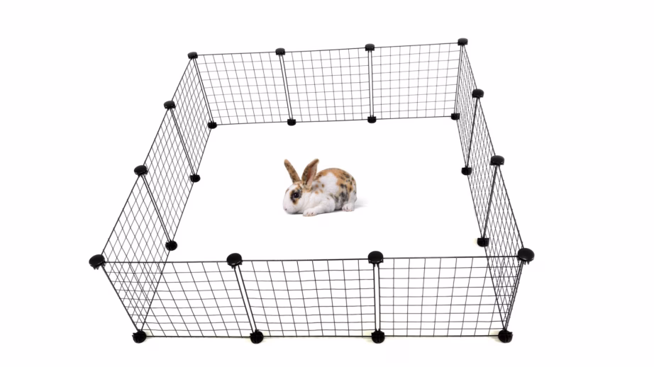 Koerapuur C&C Modular, 145 × 75 × 37 cm, must - 14