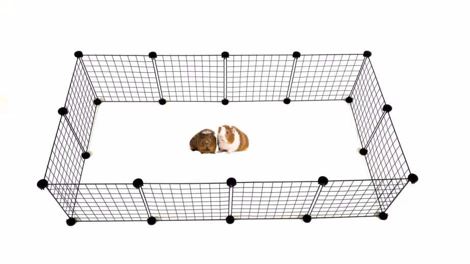 Koerapuur C&C Modular, 145 × 75 × 37 cm, must - 15
