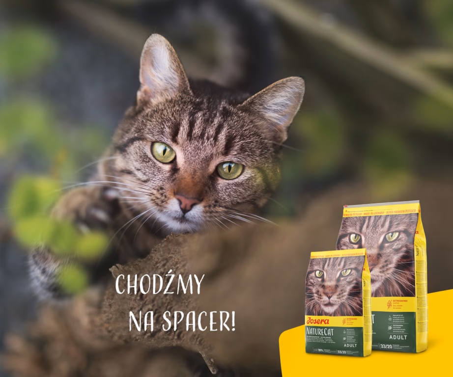 Kasside kuivtoit JOSERA NatureCat Adult, linnuliha ja lõhe, 2 kg - 5