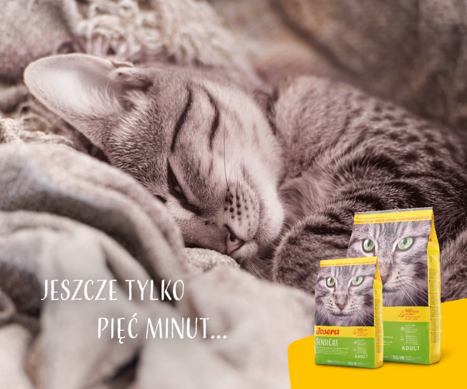 Kassi kuivtoit JOSERA SensiCat Adult, 2 kg, kana ja maks - 4