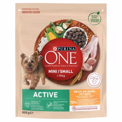 Koera kuivtoit PURINA NESTLE PURINA One Mini/Small Active kana ja riisiga, 800 g